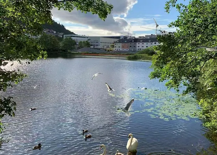 2 Bedroom, View, Light Rail, * Bergen