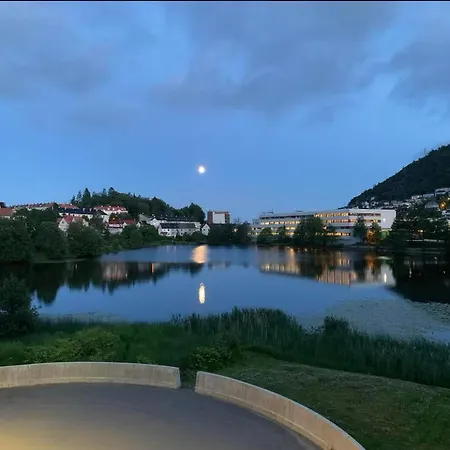 2 Bedroom, View, Light Rail, Appartement Bergen